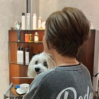 ペールベージュカラーの後頭部ふんわり&えりあしタイトショート