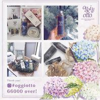 魔法のシャンプー、oggiotto(オッジィオット)入荷しました(^▽^)/